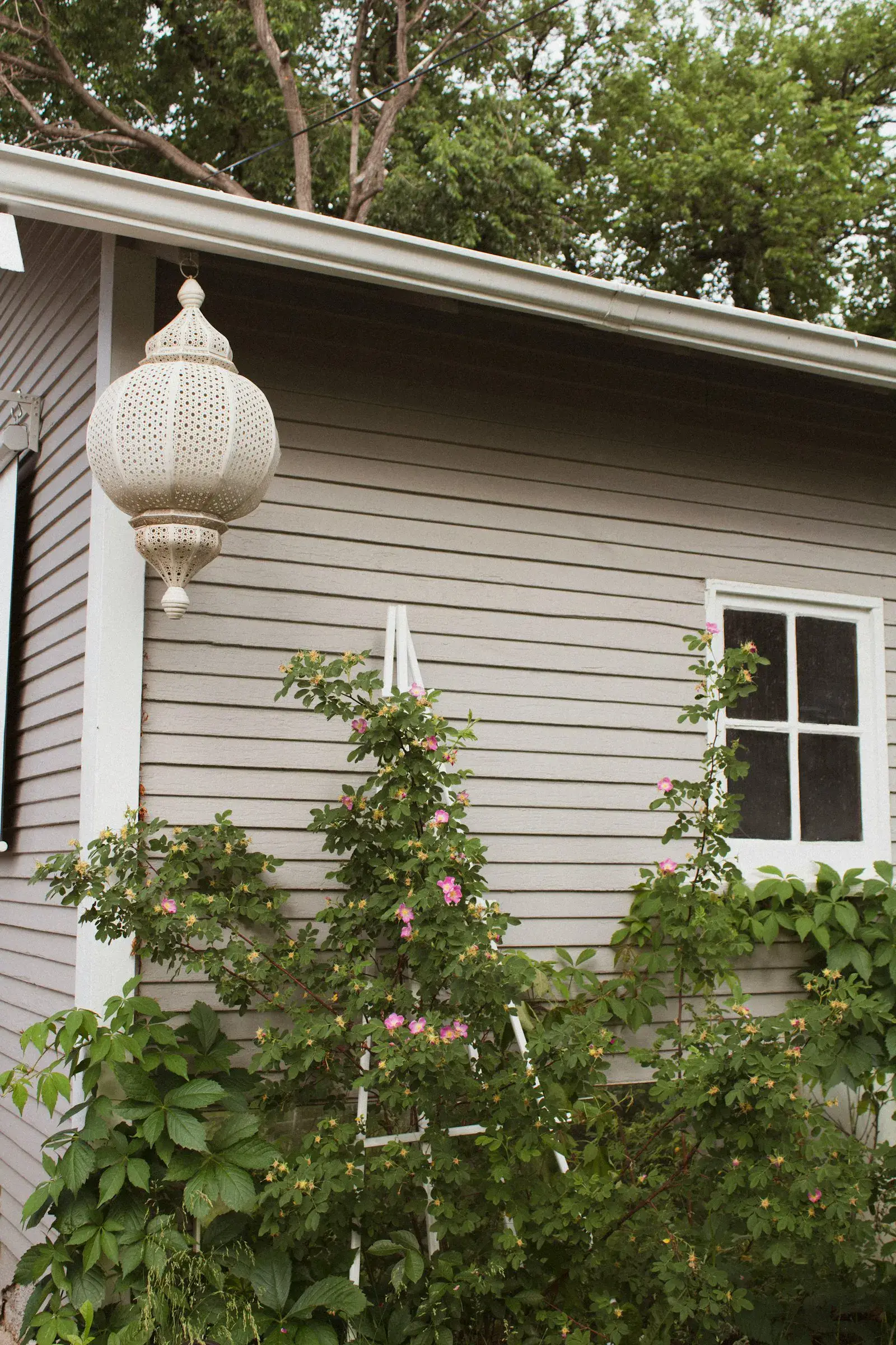 Suburban home with an overgrown lawn and unkempt beds awaiting cleanup.